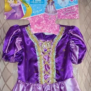 Rapunzel Tangled Princess  Costume